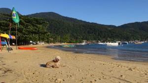 Ilha Grande - Strand mit Hund