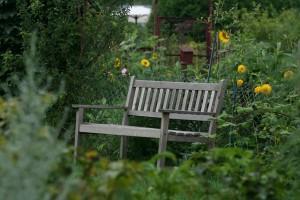 Gartenmöbel selber bauen: Gartenbank