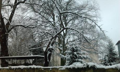 Spedition mit den Gartenmöbeln war da