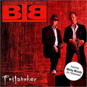 Brothers In Blues - Tailshaker