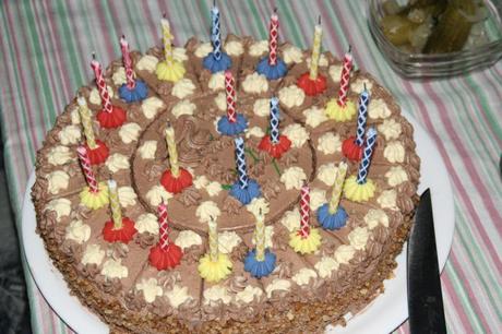 Geburtstagskuchen mit vielen Kerzen  rudolf_schuba