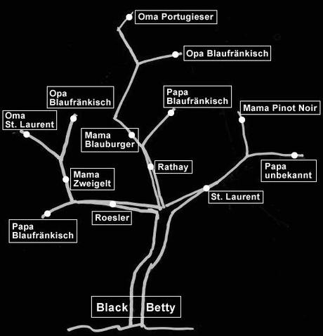 Stammbaum-Black-Betty-Winzerhof-Landauer-Gisperg