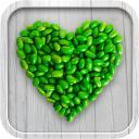 Green Kitchen iPhone Apps