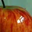 Apple fruit von Doug Wheller - http://www.flickr.com/photos/29468339@N02/2780642603