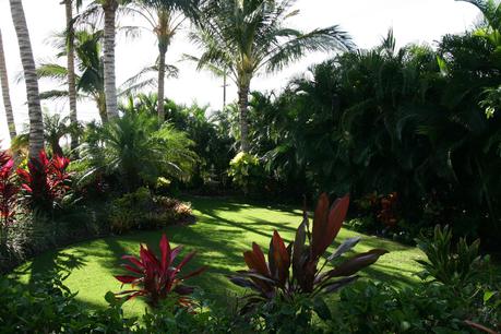 Maui-Pineapple-Inn