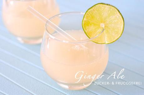 Ginger Ale zuckerfrei fructosefrei - Ingwer Limonade