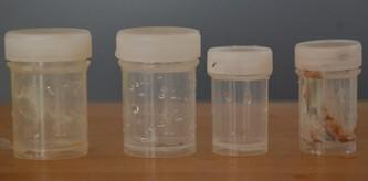 4 kleine Plastikdöschen ( 2* 20ml und 2* 35ml)