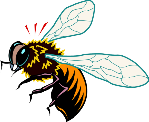 Gestochen von einer Biene