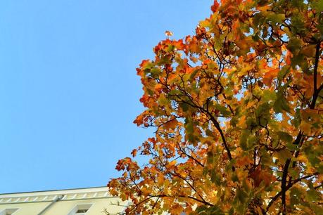 colourful autumn / monochrome me