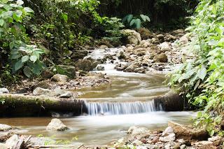 Abenteuer Costa Rica / am rauschenden Bach mitten im Regenwald