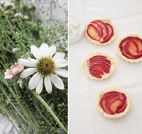 Plums Tartelettes & Betriebsblind