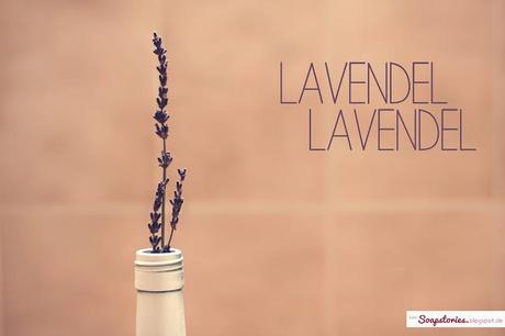 Lavendel, Lavendel, Lavendel, eine DIY-Schachtel und ein neues Kissen.