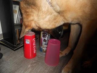 Cora und Der Becher