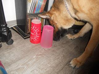 Cora und Der Becher