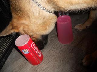 Cora und Der Becher