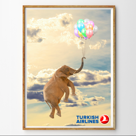 Let's fly away - with Turkish Airlines