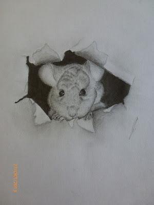 Zeichentutorial: Maus guckt aus Papier raus
