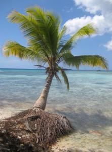 Insel und Nationalpark Saona – Dominikanische Republik