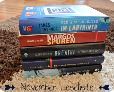 [Leseliste]November 2013