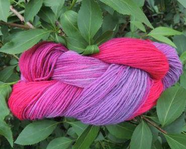 *Azalee* und *Lavendel in der Morgensonne*…