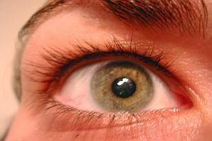 Gesehenes - Oktober 2013