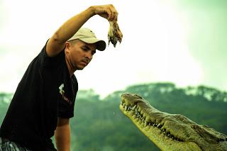 Abenteuer Costa Rica / auf den Spuren der Krokodile.. und ein kleiner Adrenalinschub