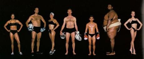 Körpertypen von Sportler   Ein Vergleich nach Sportarten