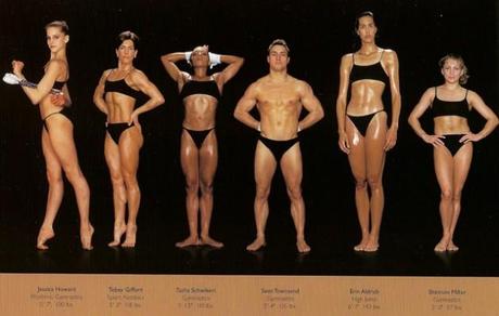 Körpertypen von Sportler   Ein Vergleich nach Sportarten