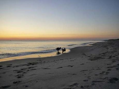 Romantischer Strandspaziergang Foto: Elke Weiler
