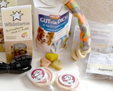 {Dogolindo} Es war einmal mehr Boxenzeit.