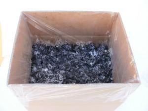 Pilze selber gezüchtet – Monster aus der Box