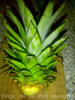 Eine Ananas pflanzen