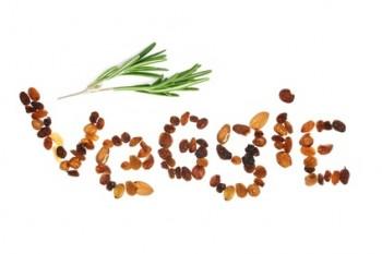 {Veggie Life}#2 Gründe für Vegetarismus