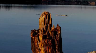 Magritte am Loch Forggensee? Ein Novemberbummel in Schwangau von Brunnen nach Waltenhofen