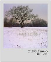 Fotoprojekt zwölf2010: Beitrag Januar - zum Vergrößern bitte anklicken