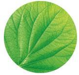 Fructis Glättung & Seidenglanz