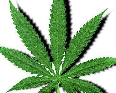 Cannabis legalisieren!