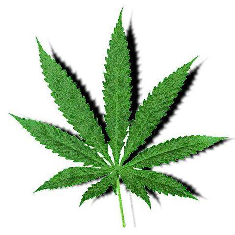Cannabis legalisieren!
