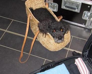 Ich packe meinen Koffer ...