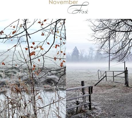 Novemberfrost und Herbstmusik