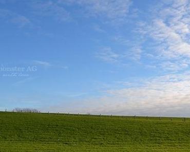 wallpaper-1689754