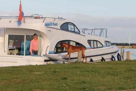 Auf einem Hausboot kann es mit zwei Hunden schon mal eng werden Foto: Claudia Pfeiffer
