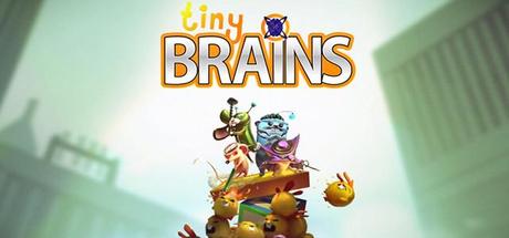 tiny_brains