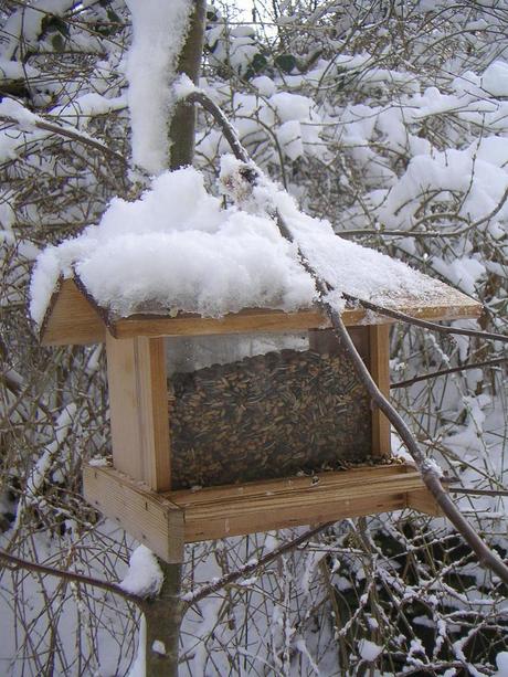 Vogelhaus im Winter mit viel Schnee  taschenkruemmel