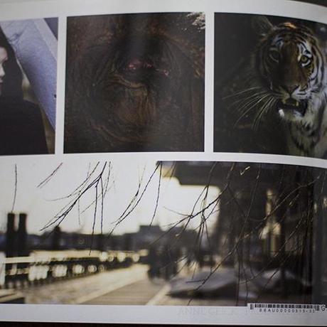 Beim Elefanten und dem Tiger entdeckt man doch, wie dunkel die Bilder sind ... der Wahnsinn.