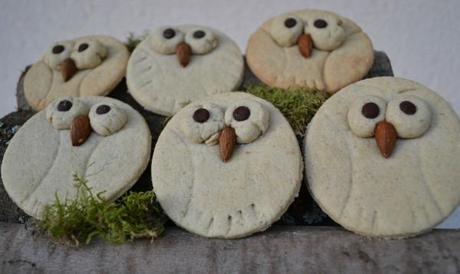 owl cookies 2
