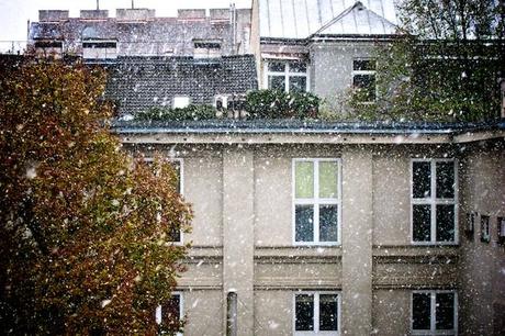 Der erste Schnee in Wien! (1)