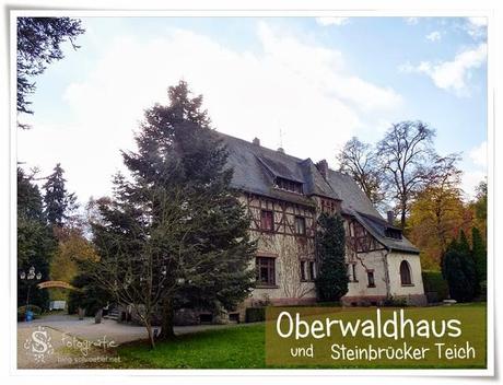 Spaziergang am Oberwaldhaus und Steinbrücker Teich