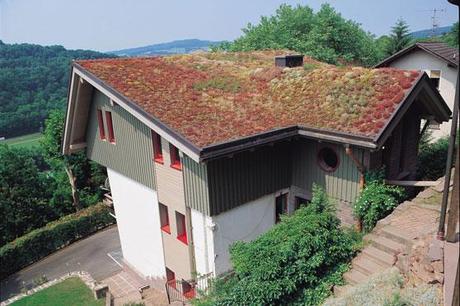 Mit einer Dachbegrünung können Hausbesitzer der Flächenversiegelung etwas entgegensetzen und der Natur Flächen zurückgeben. Foto: djd/Paul Bauder