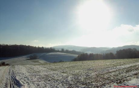 Odenwald, Siedelsbrunn, Wandern im Odenwald, Winter im Odenwald